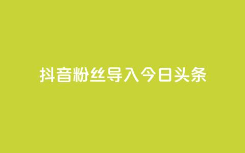 抖音粉丝导入今日头条,免费领ks播放量 - 粉丝真的能找到主播吗 QQ名片刷软件应用 第1张
