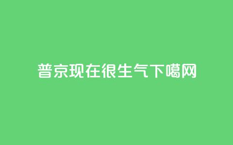 普京现在很生气 第1张 普京现在很生气 第1张